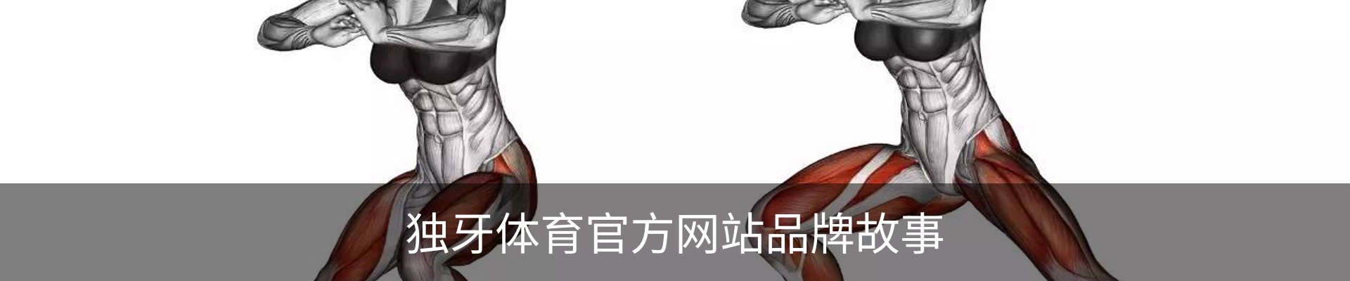 独牙体育官方网站品牌故事